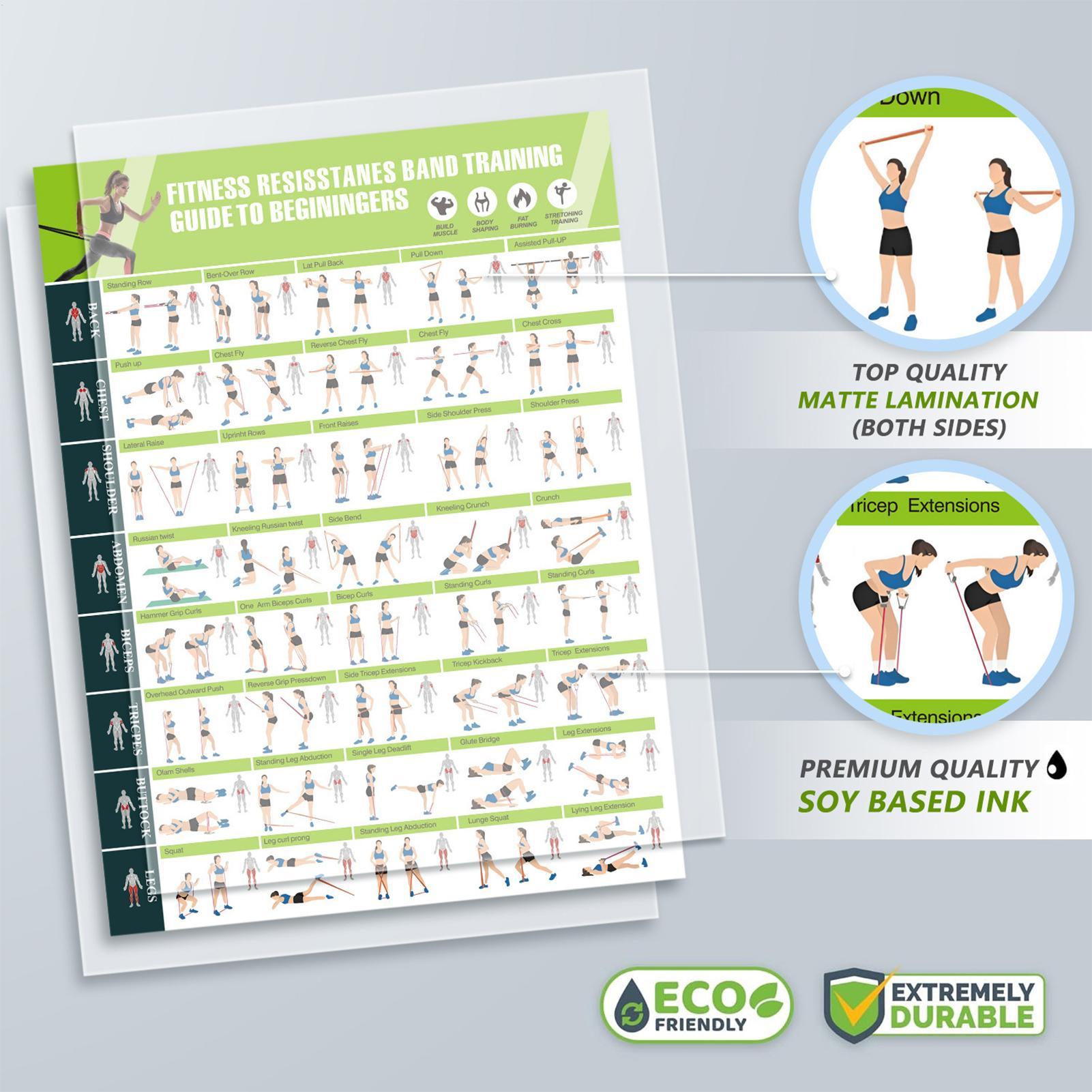 Workout Posters with Resistanc - Sports Equipment Poster recension och pris