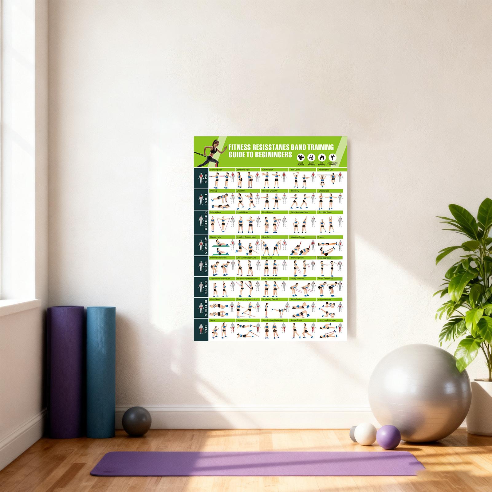Workout Posters with Resistanc - Sports Equipment Poster recension och pris