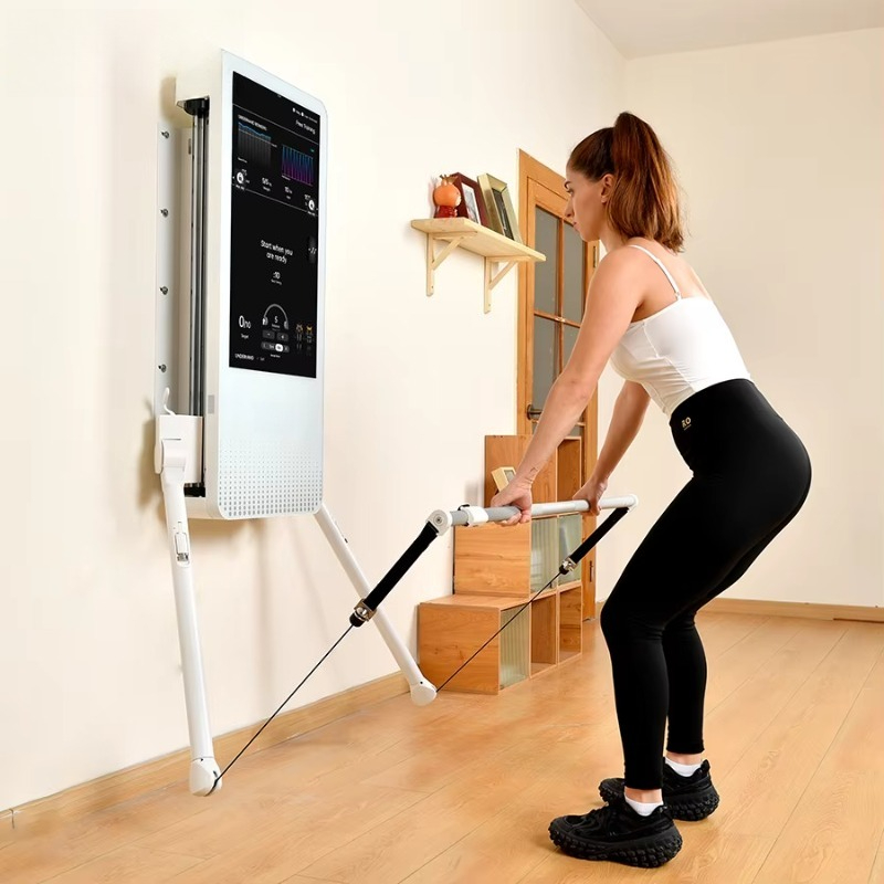 Multifunctional Home Fitness E - Sports Equipment Game recension och pris