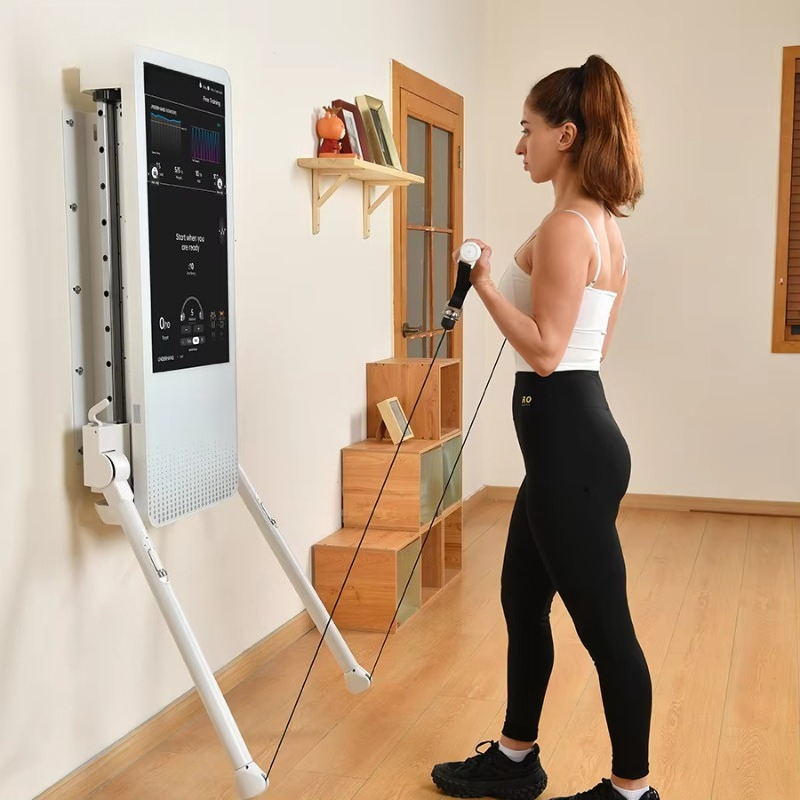 Multifunctional Home Fitness E - Sports Equipment Game recension och pris